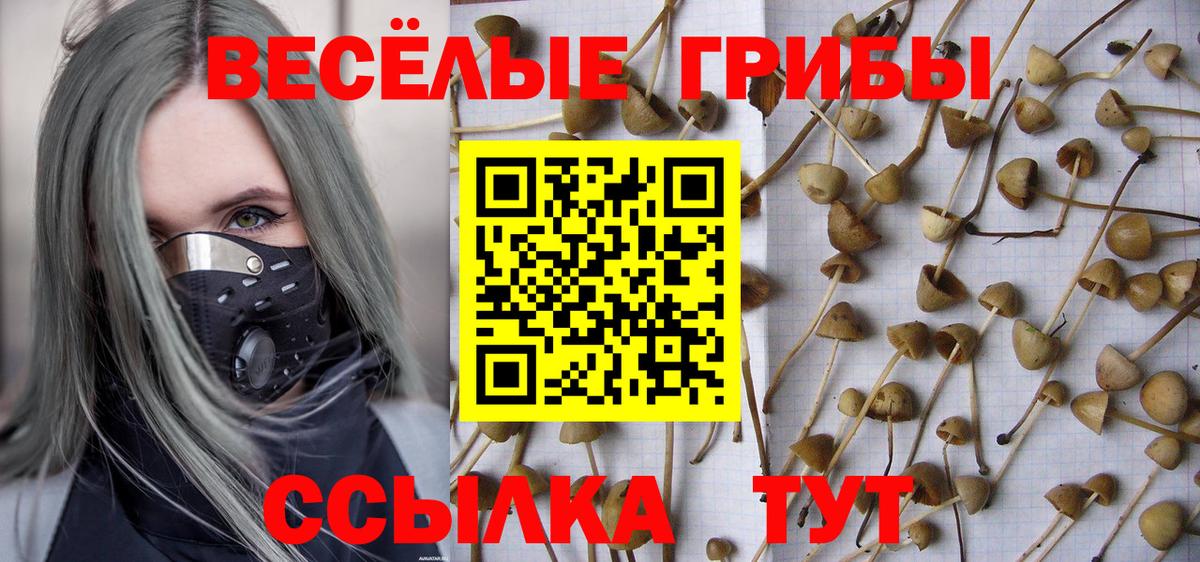 Галлюциногенные грибы Cubensis  Псилоцибиновые грибы Psilocybine cubensis  Павловский Посад  Вход с VPN 