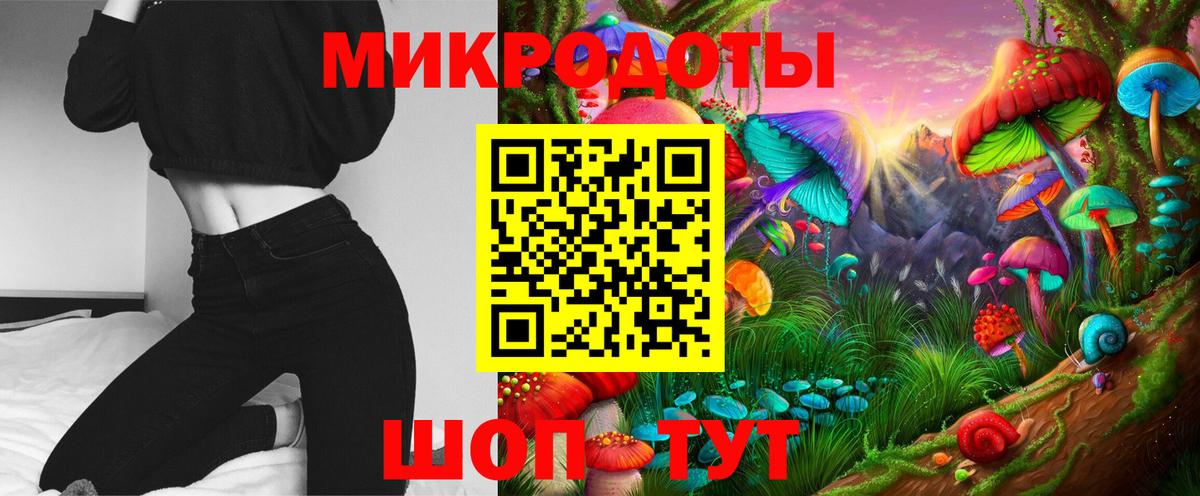 Галлюциногенные грибы Psilocybine cubensis Павловский Посад
